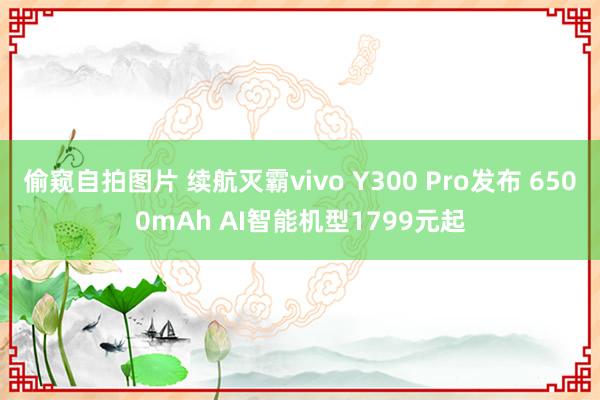 偷窥自拍图片 续航灭霸vivo Y300 Pro发布 6500mAh AI智能机
