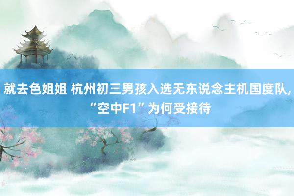 就去色姐姐 杭州初三男孩入选无东说念主机国度队, “空中F1”为何受接待