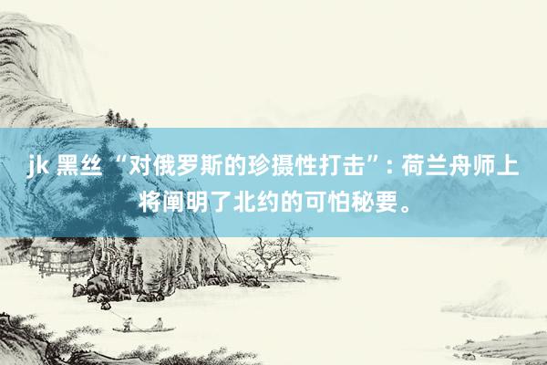jk 黑丝 “对俄罗斯的珍摄性打击”: 荷兰舟师上将阐明了北约的可怕秘要。
