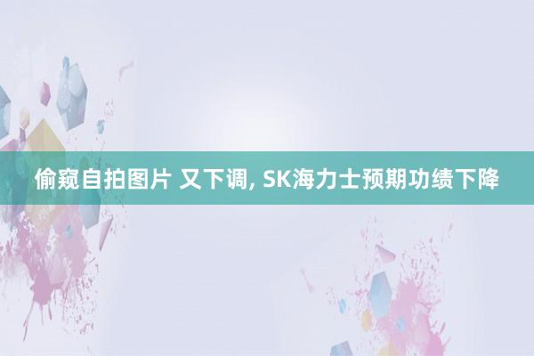偷窥自拍图片 又下调, SK海力士预期功绩下降