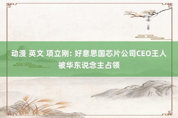动漫 英文 项立刚: 好意思国芯片公司CEO王人被华东说念主占领