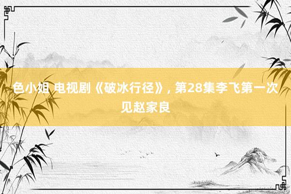 色小姐 电视剧《破冰行径》, 第28集李飞第一次见赵家良